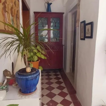 Проживание в семье Kanina