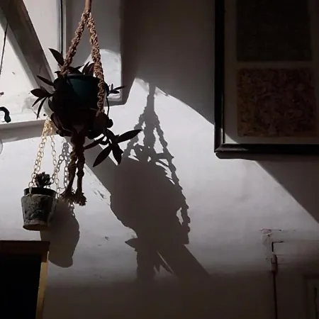 Kanina Проживание в семье *