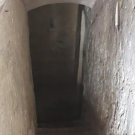 Kanina Меллиеха