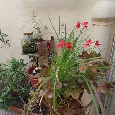 Kanina Séjour chez l'habitant