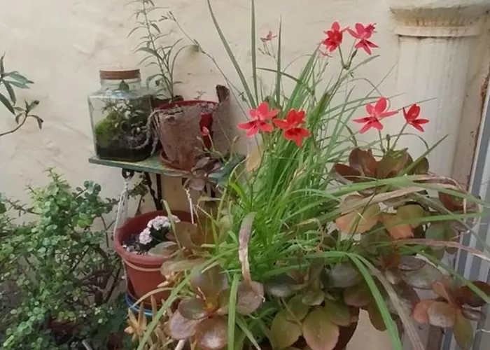 Kanina Séjour chez l'habitant